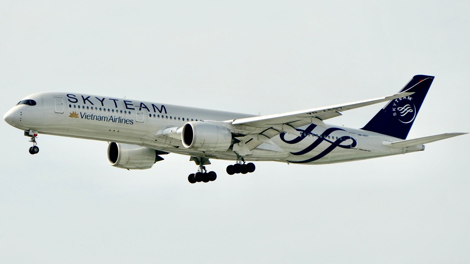 sm-1783886511717