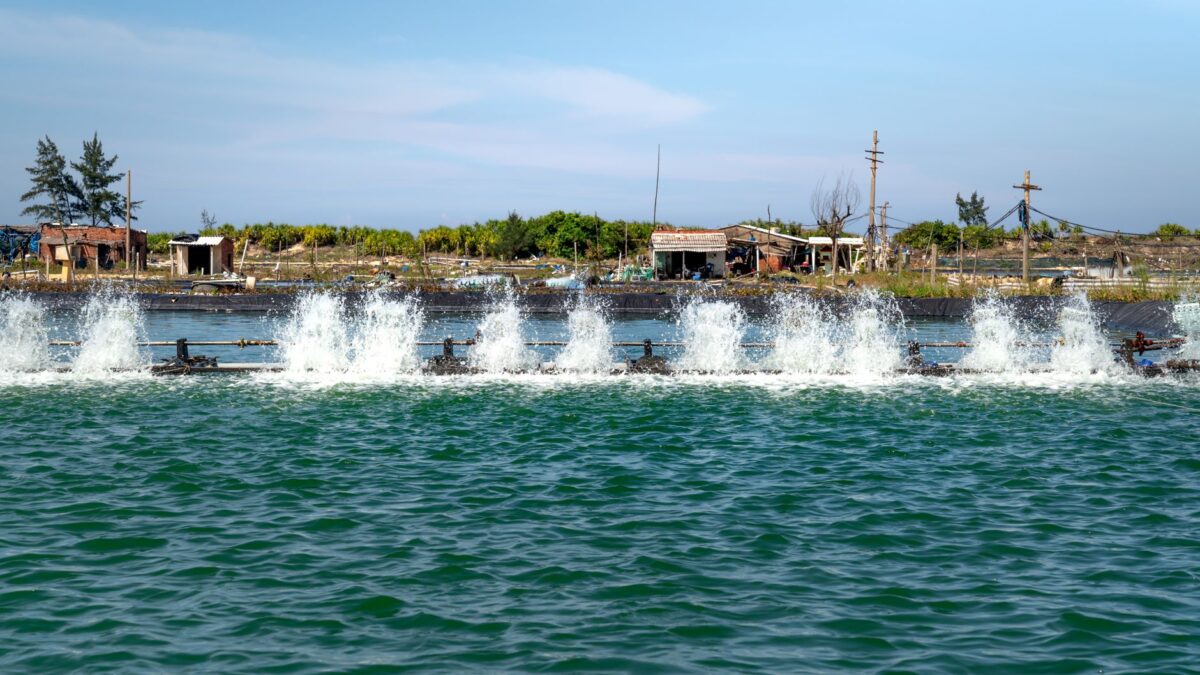 sm-1786284032937