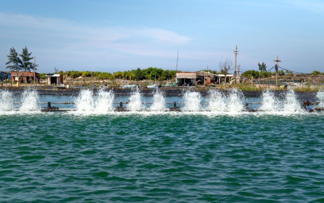 sm-1786284032937