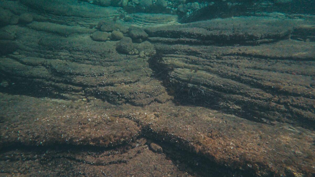 sm-1788202811999