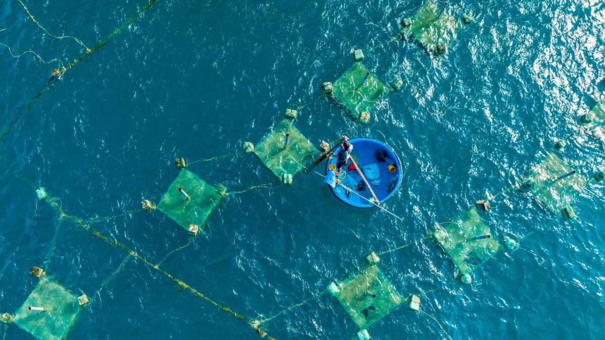 sm-1793433615734